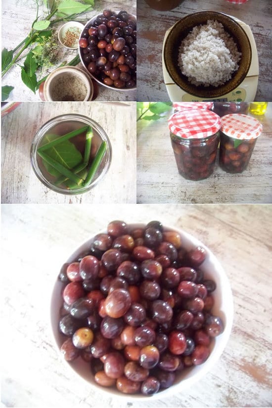 préparation des olives noires maison en images